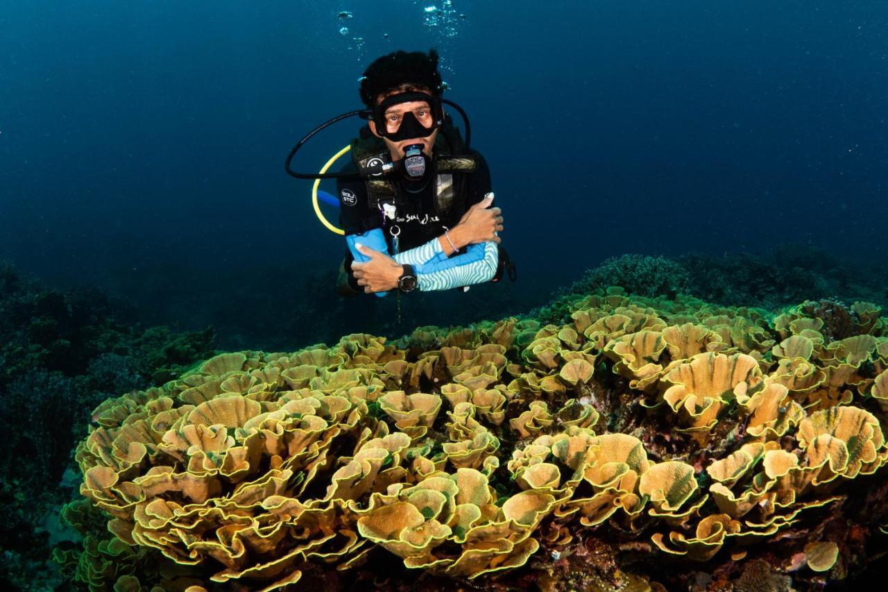 Sanctum Una Una Eco Dive Resort Pulau Unauna Exterior photo