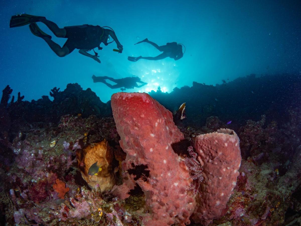 Sanctum Una Una Eco Dive Resort Pulau Unauna Exterior photo