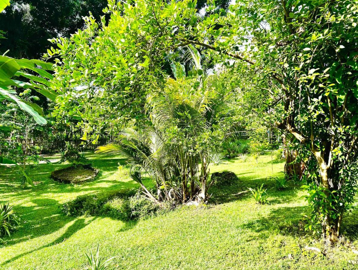 Sanctum Una Una Eco Dive Resort Pulau Unauna Exterior photo